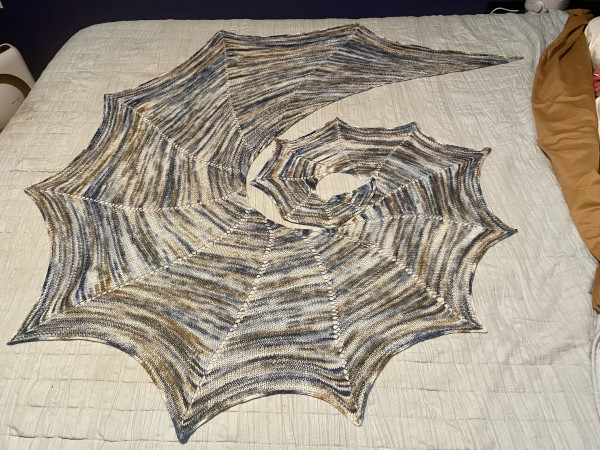 A hand knit spiral shawl in a fingering size variegated yarn. The long side of the shawl is scalloped, somewhat resembling a cobweb. 