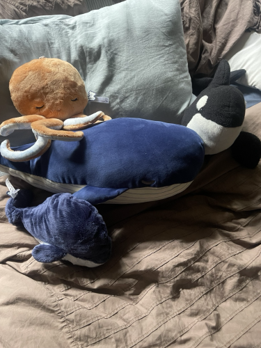 A large blue whale, a small blue whale, an orca, and an orange octopus plushie on a bed 