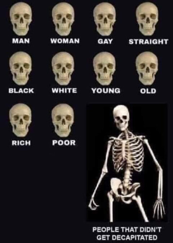 A bunch of skulls with different captions under each of them: "MAN, WOMAN, GAY, STRAIGHT, BLACK, WHITE, YOUNG, OLD, RICH, POOR"
Then a picture of a skeleton with the text "PEOPLE THAT DIDN'T GET DECAPITATED"