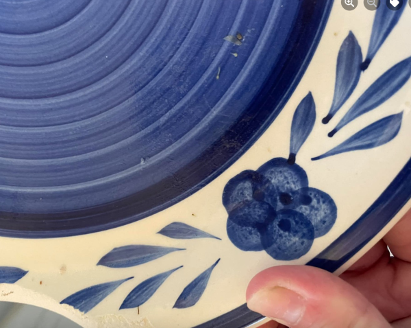 Piece of a broken plate. Full-size plate has blue swirls in the middle, and on the outside a blueberry like pattern with leaves.
