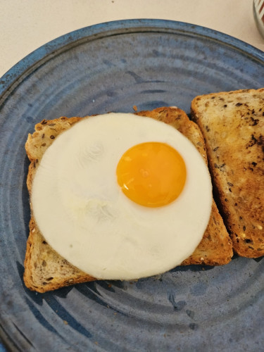 A fried egg on wholemeal toast. The egg white is perfectly round with a bright yellow yolk in the middle
