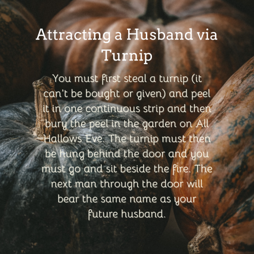 Text on a background of pumpkins photo:  How to attract a husband via turnip: You must first steal a turnip (it can’t be bought or given) and peel it in one continuous strip and then bury the peel in the garden on All Hallows Eve. The turnip must then be hung behind the door and you must go and sit beside the fire. The next man through the door will bear the same name as your future husband.