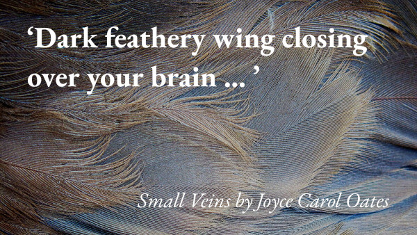A close-up of a bird's wing, with a quote from Joyce Carol Oates's short story Small Veins: 'Dark feathery wing closing over your brain … '