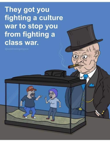 #Alt4You 
They got you fighting a culture war to stop you from fighting a class war.
Illustration of a "rich guy" smoking a cigar watching a "MAGA hat" and another person arguing in a terrarium.