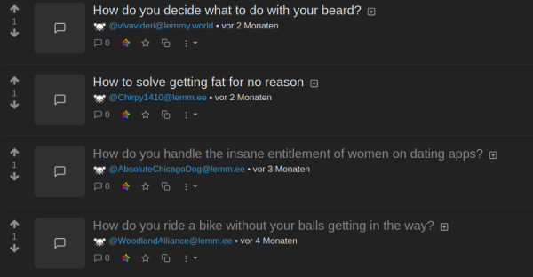 Screenshot mit Fragen wie: "How do you decide what to do with your beard?", "How do you ride a biko without your balls getting in the way?"