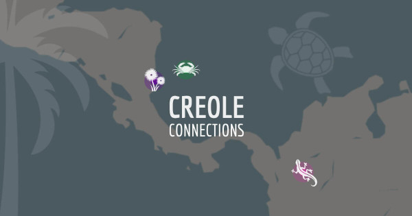 Screenshot of the website Creole Connections, where it features a map of the Caribbean Sea and a few drawings of animals such as a crab, a turtle and a salamander.