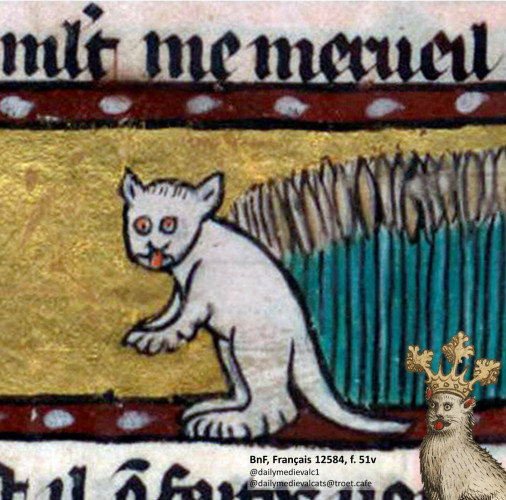 Picture from a medieval manuscript: A cat looking very confused