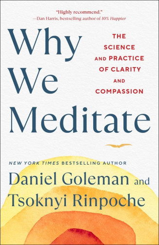 We all experience negative emotions from time to time. But in a world with as much frenzy and pressure as ours, it's incredibly easy for these same emotions to become destructive. Now, by blending Eastern tradition with Western science, Why We Meditate effortlessly helps you embrace and understand meditation as never before.

With accessible and eye-opening advice based on groundbreaking neuroscience, this guidebook helps you not only break free from negative patterns of thought and behavior but radically embrace your very being. Revolutionize your health, relationships, and soul with this book that is perfect for both...