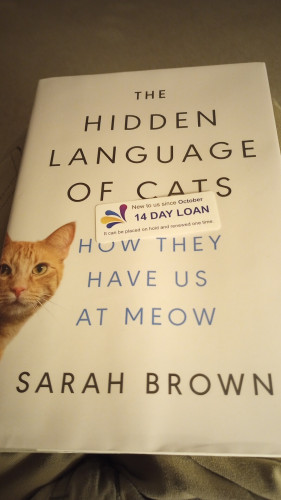 A book cover with a picture of an orange cat and the book's title Hidden Language of Cats and authors name Sarah Brown
