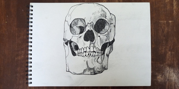 Drawing of a human skull in ink and graphite on a spiral-bound sketch book page on a wooden table
