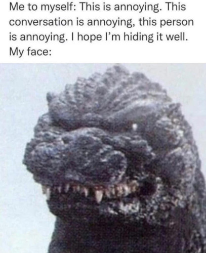 Me to myself: This is annoying. This conversation is annoying. This person is annoying. I hope I'm hiding it well.
My face:
[Picture of Godzilla snarling]