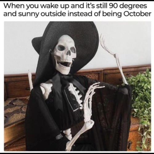 "When you wake up and it's still 90 degrees and sunny outside instead of being October"
With a picture of a skeleton dressed up in a witch costume