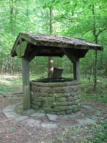 Photo of an old stone well, covered in moss, with a small pitched roof and a bucket hanging from a rope.