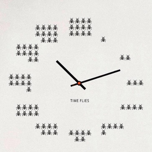 Meme of an analogue clock with flies drawn on each of the time spots (so one fly at "one o'clock" and ten flies at "ten o'clock") with the text "time flies"