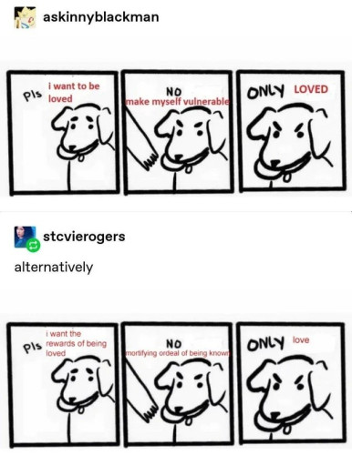 A Tumblr screenshot
User askinnyblackman posts the "no take, only throw" dog, (a 3 pane comic showing a dog holding a ball and looking pleading, then frowning when the human tries to take the ball, then a closeup of frown) relabeled with "Pls I want to be loved/ no make myself vulnerable/ only loved"

User stcvierogers replies
alternatively,
then the "no take, only throw" dog labeled "I want the rewards of being loved/ no mortifying ordeal of being known / only loved"