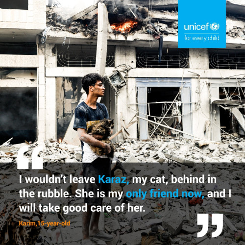 Image from Gaza. A young boy standing in rubble, surounded by destroyed buildings, is holding his cat. There is a quote from him over the image "I wouldn't leave Karaz, my cat, behind in the rubble. She is my only friend now, and I will take good care of her." Karim, 15 year-old.