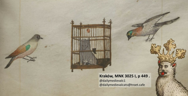 Picture from a medieval manuscript: A cat in a cage, two birds around it