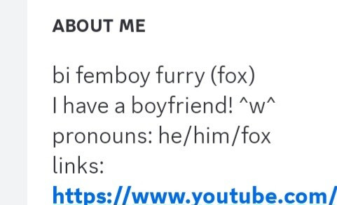 Screenshot of a discord bio saying: bi femboy Furry fox. I have a boyfriend.