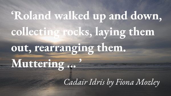 A figure on Barmouth beach with a quote from Fiona Mozley's short story Cadair Idris: 'Roland walked up and down, collecting rocks, laying them out, rearranging them. Muttering … '