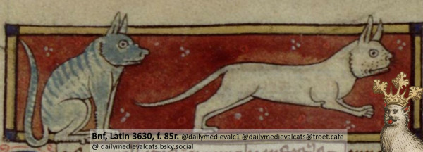 Picture from a medieval manuscript: Two Katze (that do not look like cats), one sitting, the other one running