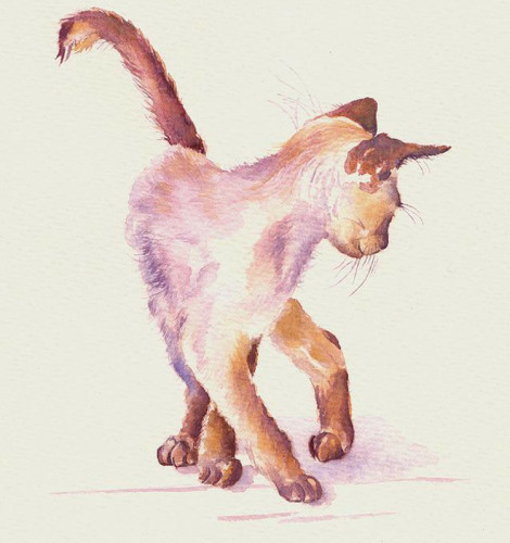 Watercolor painting of a tan Siamese kitten delicately walking, tail high, and head to its left looking at something very intently.