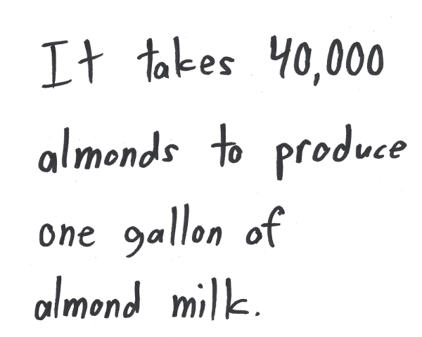 It takes 40,000 almonds to produce one gallon of almond milk.