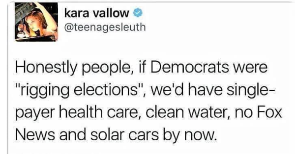 kara vallow
@teenagesleuth
Honestly people, if Democrats were "rigging elections", we'd have single-payer health care, clean water, no Fox News and solar cars by now.