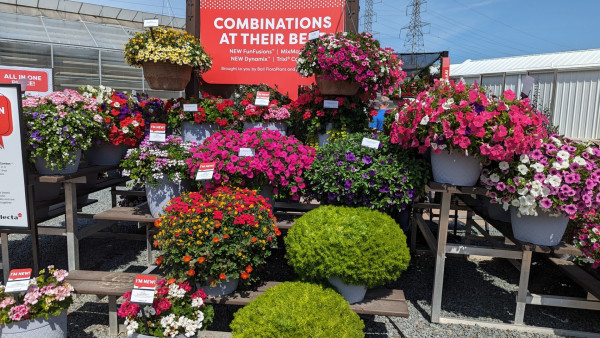 A tiered display with multiple pots, most of which have 2 or 3 varieties of flowers in them.   Some have a single variety in different colors.  There is a large promotional sign at the top that says "Combinations at their Best"  Smaller text promotes product names for horticultural growers.