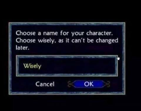 A dialogue from a video game reads: 
Choose a name for your character. Choose wisely, as it can't be changed later. 

The player has entered the name “Wisely”