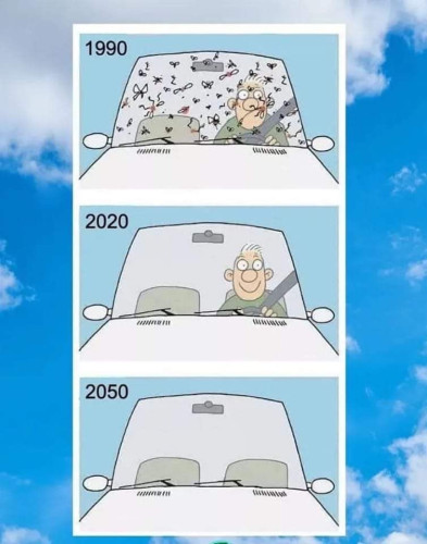 A close up of three car windshields. Number one (1990) unhappy driver with a lot of insects covering the windshield. Number two (2020) happy driver with clean windshield. Number three (2050) empty car.