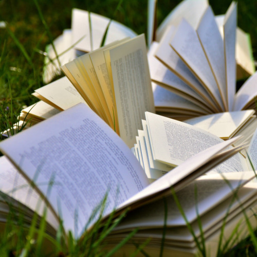 open books on grass