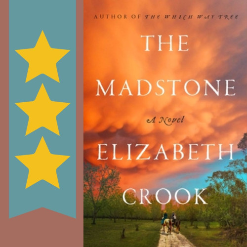 Cover art for The Madstone, by Elizabeth Crook. Three stars.