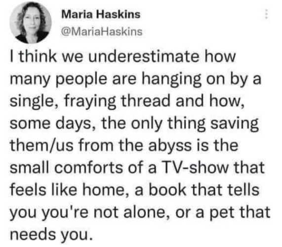 Quote by Maria Haskins that reads: I think we underestimate how many people are hanging on my a singe, frying thread and how , some days, the only thing saving them/us from the abyss is the small comforts of a TV-show that feels like home, a book that tells you you're not alone, or a pet that needs you.