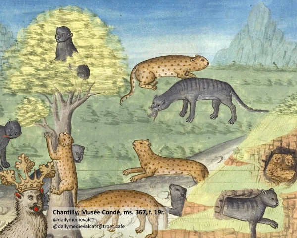 Picture from a medieval manuscript: A wilderness scene with a lot of cats