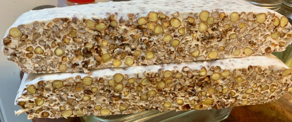 A thick slab of tempeh cut in two, the pieces stackked and the cut edges toward the camera. There is a profusions of sliced chickpeas and barley grains embedded in the white matrix of the mycelium.