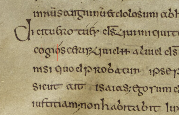 Image of part of a text in a medieval manuscript, with the "gn" in question highlighted by a square red frame. The head of the g curves over into the n, making what looks like an m with a tail on the bottom left.