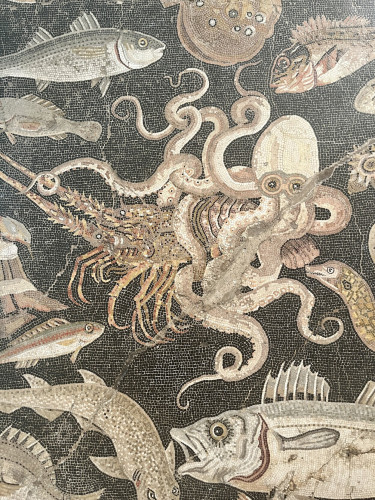 Description from the museum: “Mosaic emblema in opus vermiculatum made from polychrome tesserae. On a seabed made from black tesserae, an octopus fights a lobster surrounded by a myriad of Mediterranean fish and mollusc species. Pompeii, House of the Geometric Mosaics (VIII 2, 14 - 16).” MAN Napoli, inv. 120177