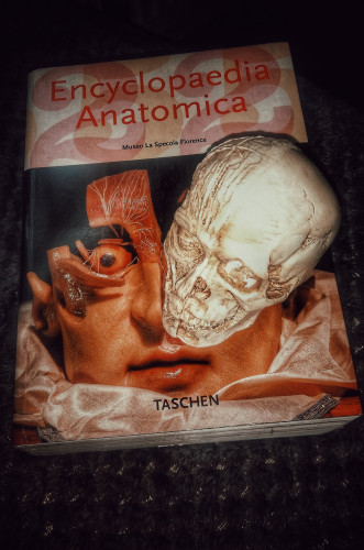 A half skull / cadaver head ornament sat upon the Taschen Encyclopaedia Anatomica art book 