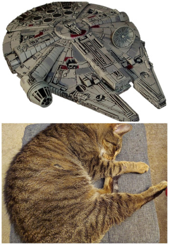 At the top is a photo of the Millennium Falcon. At the bottom is a brown tabby cat sleeping vaguely in the shape of the spaceship. 