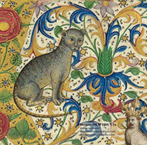Picture from a medieval manuscript: A grey cat sitting next to plants