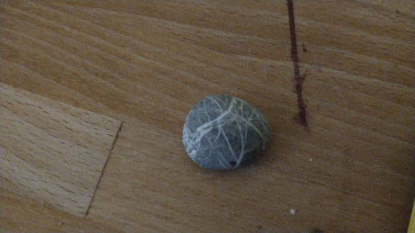 Picture of a small pebble, gray with delicate white lines cris-crossing. It's lying on a wooden table top.