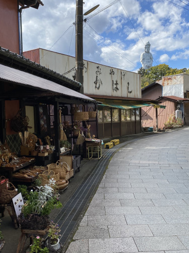 Souvenir shops along the approach road to Takasaki Byakue Daikannon