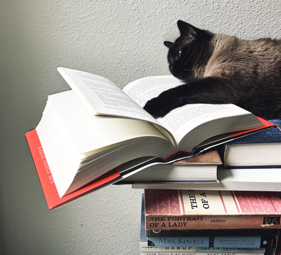 Brontë (cat) lounging across several books, one paw in particular is across a book page.