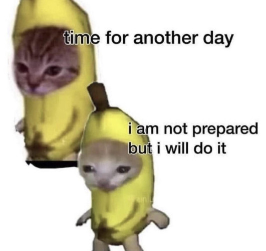 A cat in a banana suit with text that says "time for another day. I am not prepared but I will do it"