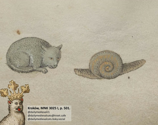 Picture from a medieval manuscript: A grey cat looking at a snail 