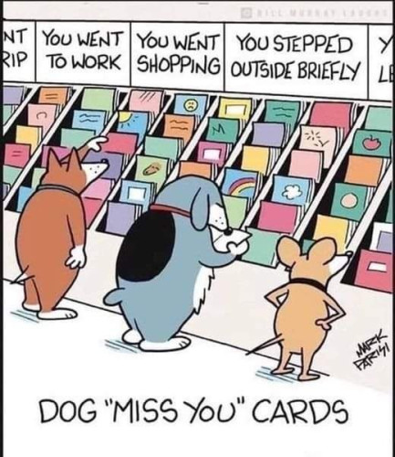 A cartoon with the title Dog Miss You Cards, and samples of cards being you went to work, you went shopping, you stepped outside briefly
