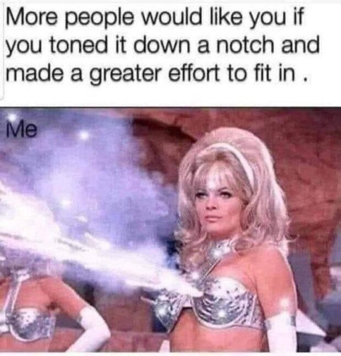 Caption says "More people would like you if you toned it down a notch and made a greater effort to fit in."
Picture is of a blond fembot wearing a silver bikini top that's shooting projectiles from the nipples