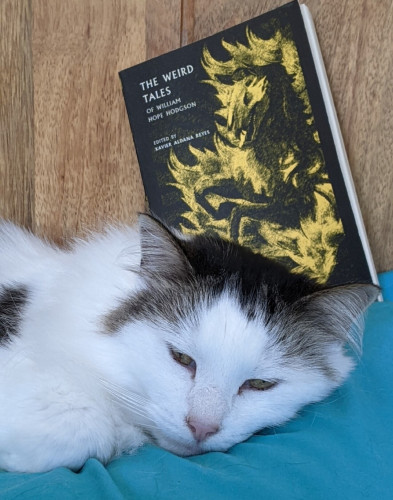 A picture of Joey, Sam's cat (a black/brown and white long-haired moggy) dozing grumpily on a green pillow in front of a copy of the book Sam will be reading from, "the weird tales of William Hope Hodgson (edited by Xavier Aldana Reyes)", which depicts a flaming yellow spectral horse against a black background.