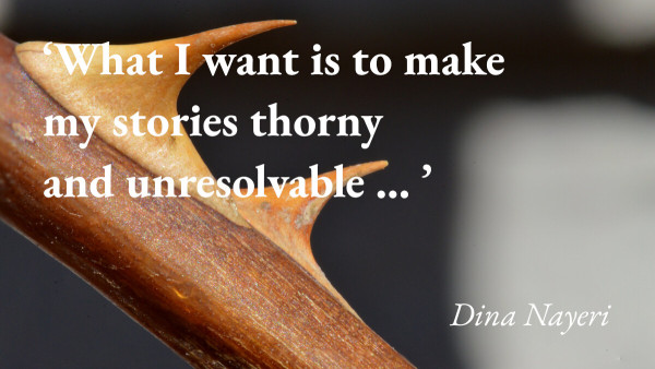 A close-up of a rose bush, with a quote from Dina Nayeri: 'What I want is to make my stories thorny and unresolvable … '