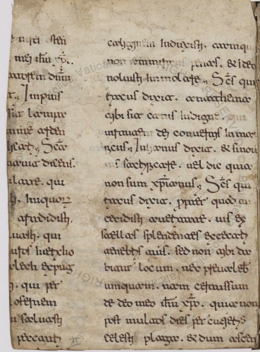 A flyleaf from Ott.lat.386.  It has part of a column of text on the left and most of a column on the right, in Bari-style Beneventan script.  The page was trimmed from a larger codex to make a flyleaf